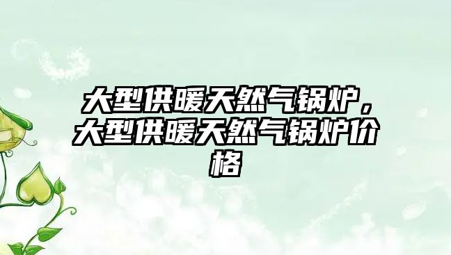 大型供暖天然氣鍋爐，大型供暖天然氣鍋爐價格