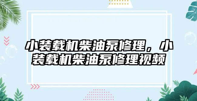 小裝載機(jī)柴油泵修理，小裝載機(jī)柴油泵修理視頻