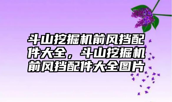 斗山挖掘機前風擋配件大全，斗山挖掘機前風擋配件大全圖片