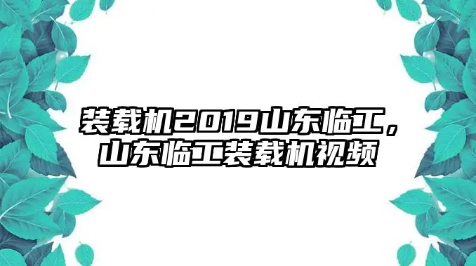 裝載機2019山東臨工，山東臨工裝載機視頻