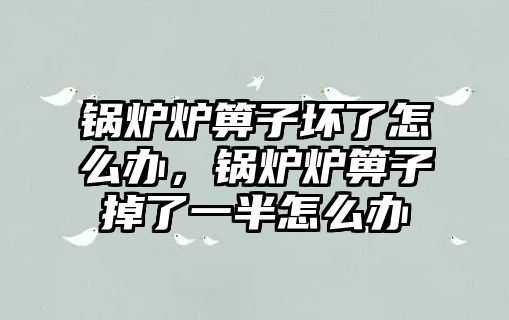 鍋爐爐箅子壞了怎么辦，鍋爐爐箅子掉了一半怎么辦