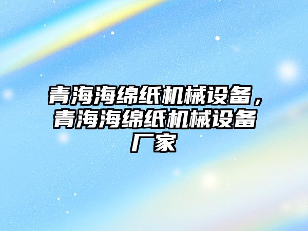 青海海綿紙機械設備，青海海綿紙機械設備廠家