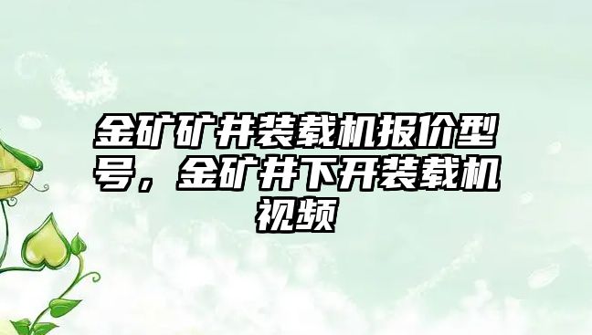 金礦礦井裝載機報價型號，金礦井下開裝載機視頻