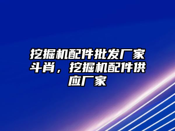 挖掘機配件批發(fā)廠家斗肖，挖掘機配件供應(yīng)廠家