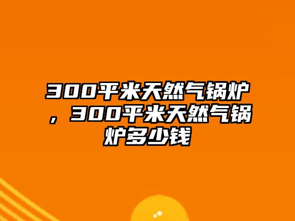 300平米天然氣鍋爐，300平米天然氣鍋爐多少錢