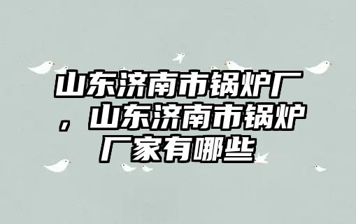 山東濟南市鍋爐廠，山東濟南市鍋爐廠家有哪些