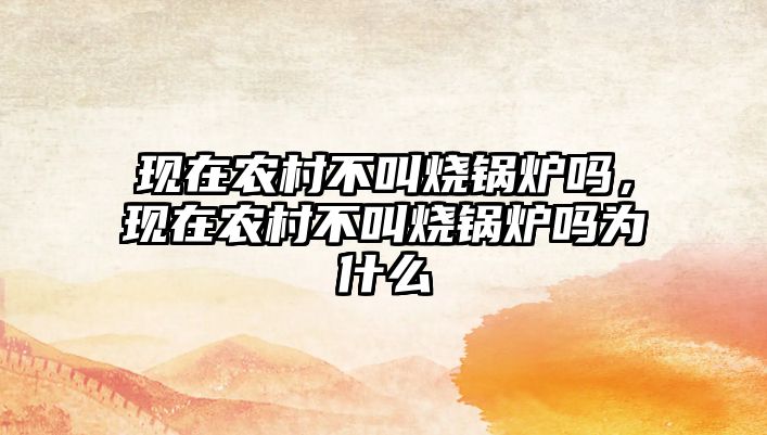 現(xiàn)在農(nóng)村不叫燒鍋爐嗎，現(xiàn)在農(nóng)村不叫燒鍋爐嗎為什么