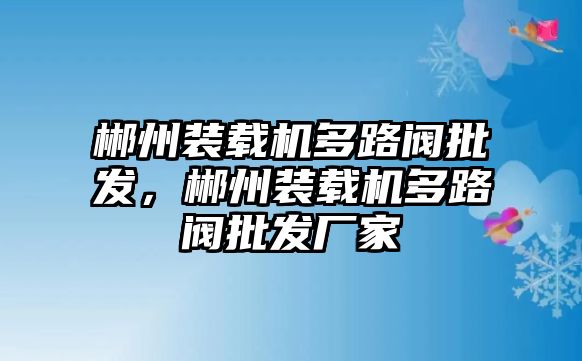 郴州裝載機(jī)多路閥批發(fā)，郴州裝載機(jī)多路閥批發(fā)廠家