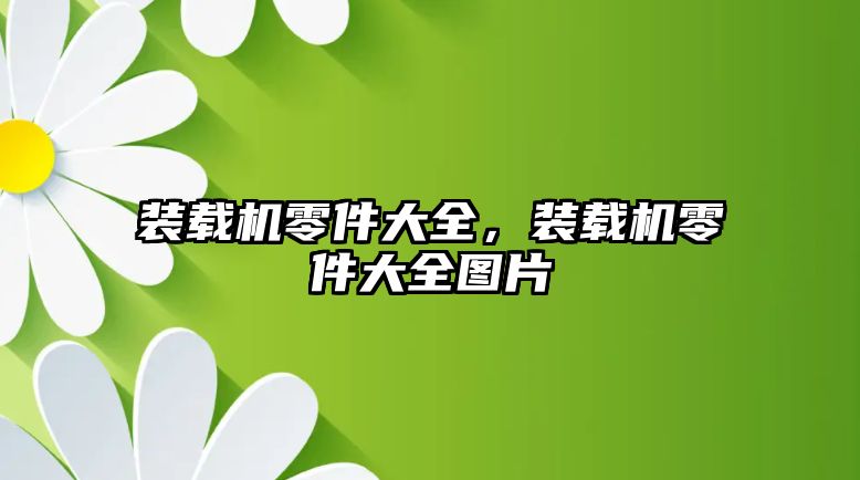 裝載機零件大全，裝載機零件大全圖片