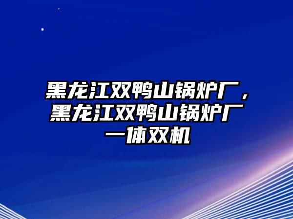 黑龍江雙鴨山鍋爐廠，黑龍江雙鴨山鍋爐廠一體雙機(jī)