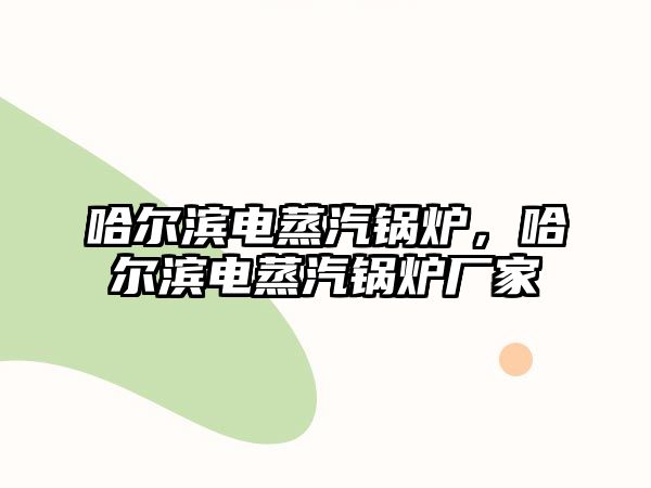 哈爾濱電蒸汽鍋爐，哈爾濱電蒸汽鍋爐廠家