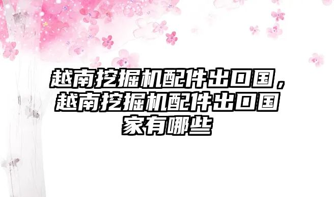 越南挖掘機(jī)配件出口國(guó)，越南挖掘機(jī)配件出口國(guó)家有哪些