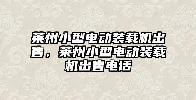 萊州小型電動裝載機出售，萊州小型電動裝載機出售電話