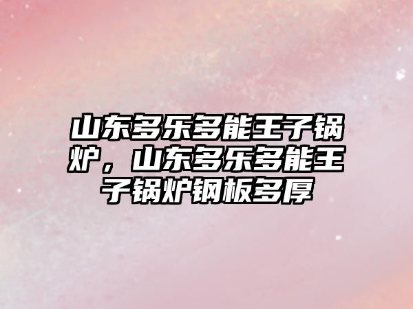 山東多樂多能王子鍋爐，山東多樂多能王子鍋爐鋼板多厚