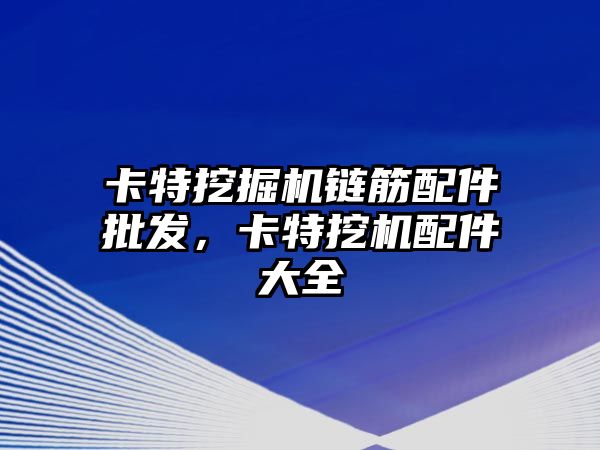 卡特挖掘機鏈筋配件批發(fā)，卡特挖機配件大全