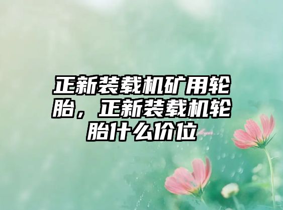 正新裝載機(jī)礦用輪胎，正新裝載機(jī)輪胎什么價(jià)位