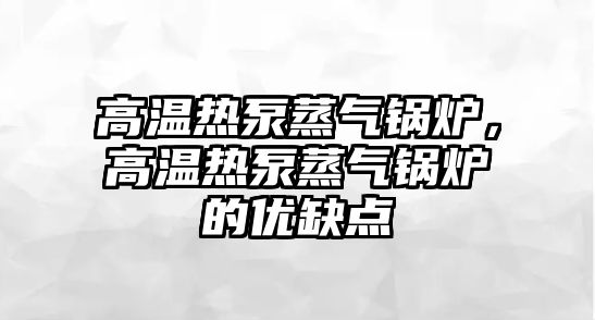 高溫?zé)岜谜魵忮仩t，高溫?zé)岜谜魵忮仩t的優(yōu)缺點(diǎn)