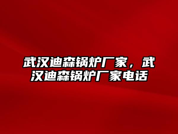 武漢迪森鍋爐廠家，武漢迪森鍋爐廠家電話