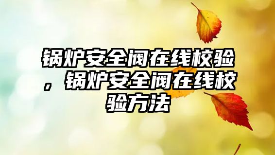 鍋爐安全閥在線校驗，鍋爐安全閥在線校驗方法