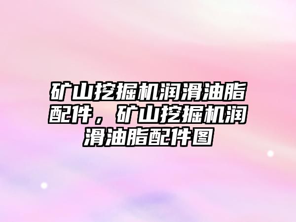 礦山挖掘機潤滑油脂配件，礦山挖掘機潤滑油脂配件圖