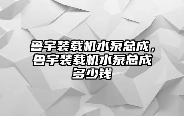 魯宇裝載機水泵總成，魯宇裝載機水泵總成多少錢