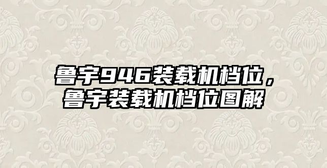 魯宇946裝載機(jī)檔位，魯宇裝載機(jī)檔位圖解