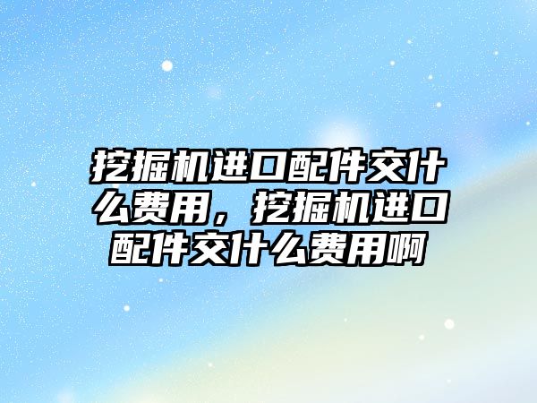 挖掘機進口配件交什么費用，挖掘機進口配件交什么費用啊