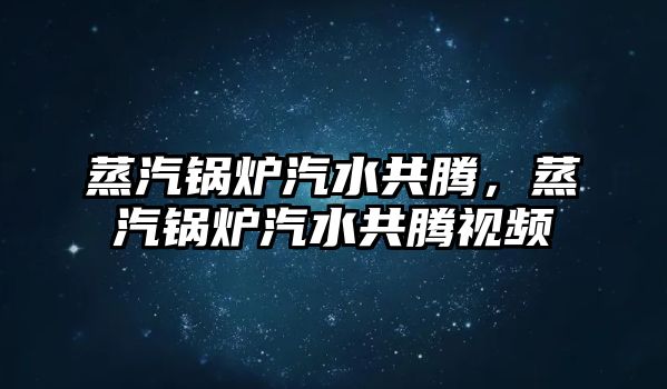 蒸汽鍋爐汽水共騰，蒸汽鍋爐汽水共騰視頻