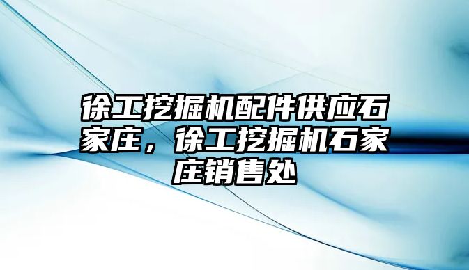 徐工挖掘機配件供應(yīng)石家莊，徐工挖掘機石家莊銷售處