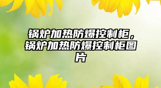 鍋爐加熱防爆控制柜，鍋爐加熱防爆控制柜圖片