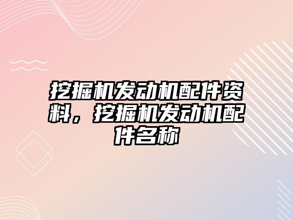 挖掘機發(fā)動機配件資料，挖掘機發(fā)動機配件名稱