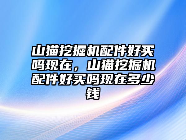 山貓挖掘機配件好買嗎現(xiàn)在，山貓挖掘機配件好買嗎現(xiàn)在多少錢