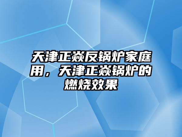 天津正焱反鍋爐家庭用，天津正焱鍋爐的燃燒效果