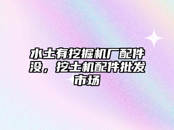 水土有挖掘機(jī)廠配件沒，挖土機(jī)配件批發(fā)市場