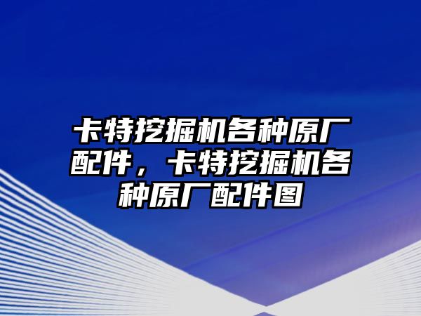 卡特挖掘機(jī)各種原廠配件，卡特挖掘機(jī)各種原廠配件圖