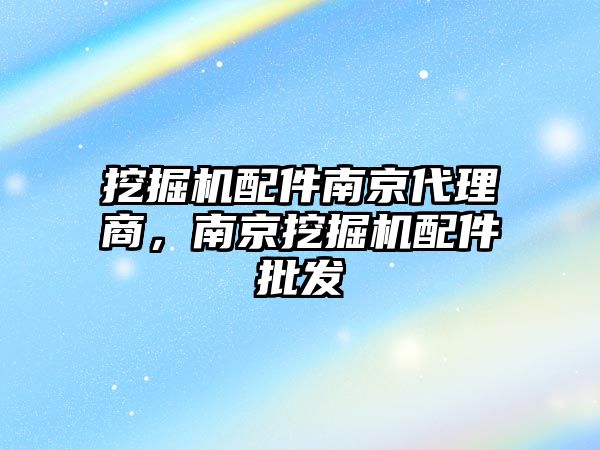 挖掘機配件南京代理商，南京挖掘機配件批發(fā)