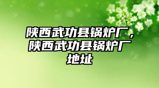 陜西武功縣鍋爐廠(chǎng)，陜西武功縣鍋爐廠(chǎng)地址