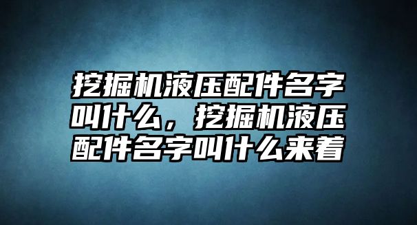 挖掘機(jī)液壓配件名字叫什么，挖掘機(jī)液壓配件名字叫什么來著