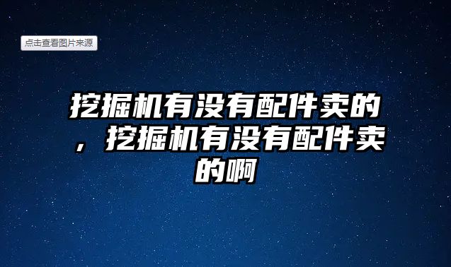 挖掘機(jī)有沒(méi)有配件賣的，挖掘機(jī)有沒(méi)有配件賣的啊