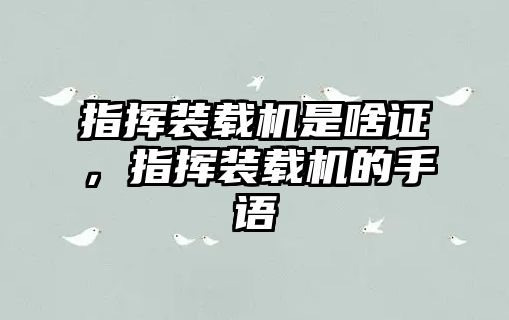 指揮裝載機(jī)是啥證，指揮裝載機(jī)的手語(yǔ)