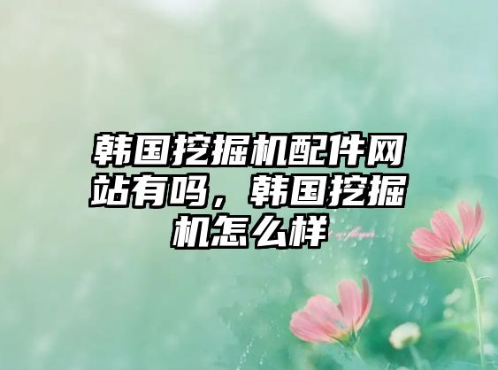 韓國挖掘機配件網(wǎng)站有嗎，韓國挖掘機怎么樣