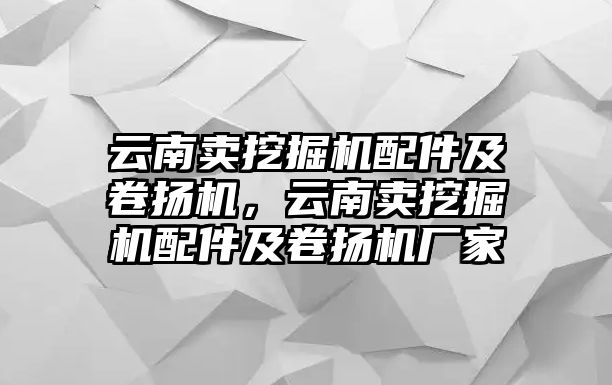 云南賣挖掘機(jī)配件及卷揚(yáng)機(jī)，云南賣挖掘機(jī)配件及卷揚(yáng)機(jī)廠家