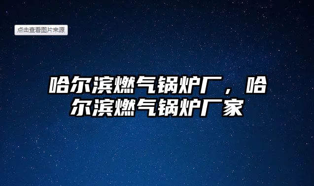 哈爾濱燃氣鍋爐廠，哈爾濱燃氣鍋爐廠家