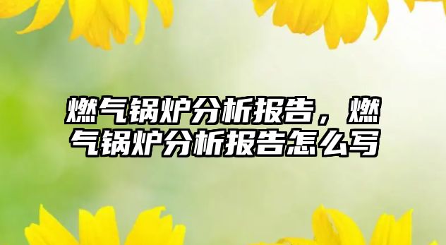 燃?xì)忮仩t分析報(bào)告，燃?xì)忮仩t分析報(bào)告怎么寫