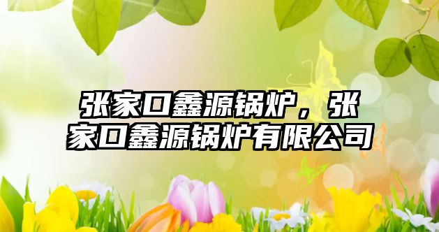 張家口鑫源鍋爐，張家口鑫源鍋爐有限公司