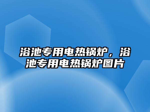 浴池專用電熱鍋爐，浴池專用電熱鍋爐圖片