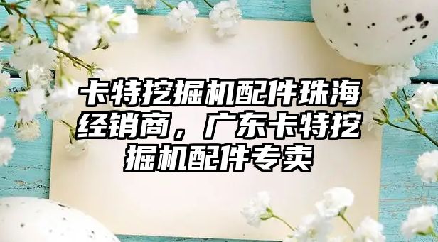 卡特挖掘機配件珠海經(jīng)銷商，廣東卡特挖掘機配件專賣