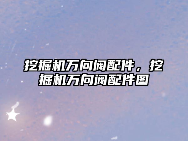 挖掘機萬向閥配件，挖掘機萬向閥配件圖