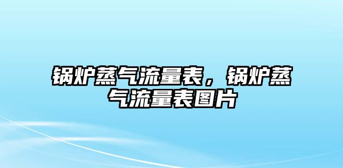 鍋爐蒸氣流量表，鍋爐蒸氣流量表圖片