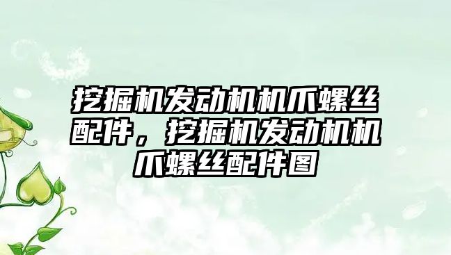 挖掘機發(fā)動機機爪螺絲配件，挖掘機發(fā)動機機爪螺絲配件圖